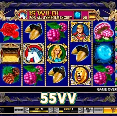 Cash Out 55VV